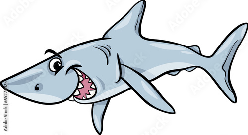shark animal cartoon illustration