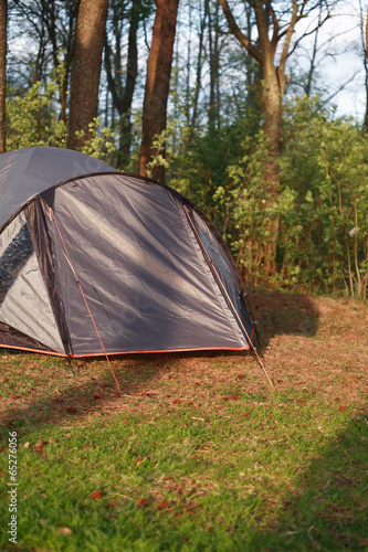 Tent In Forest