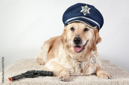 golden retriever policier