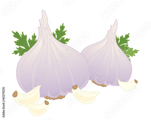 garlic