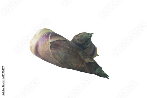 Bamboo shoot on the white background