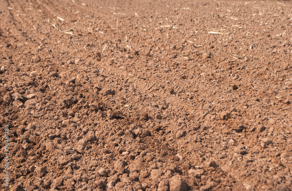 Cultivated gray dried soil, nature background