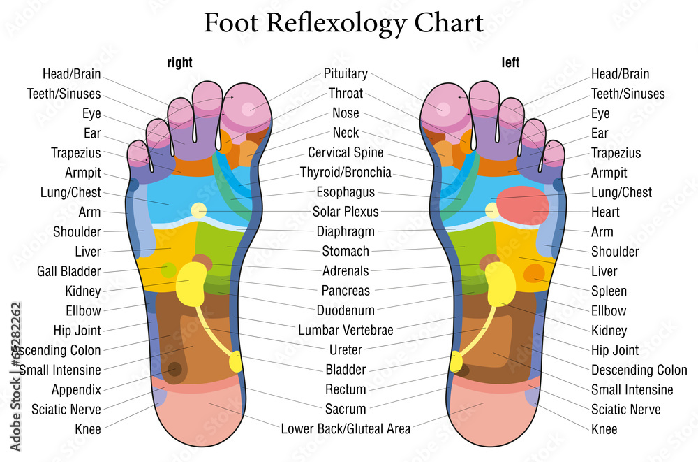 Foot Reflexology Chart Description Stock Vector Adobe Stock