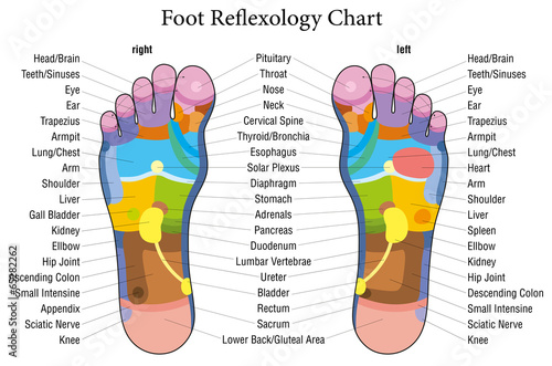 Foot reflexology chart description photo