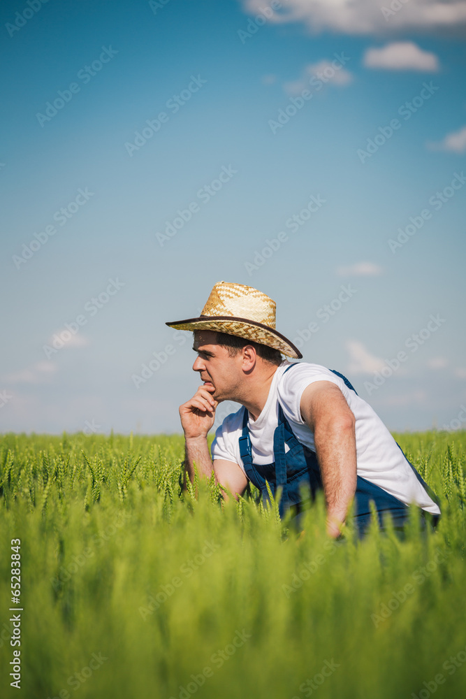 Farmer in field Farmer in field
