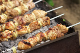 Pork Shish kebab on Fire. Appetizing fresh meat shish kebab prep