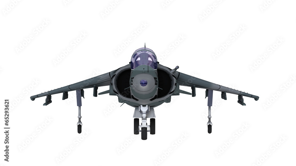 Fototapeta premium 戦闘機