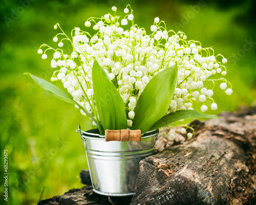 Lily of the valley flowers in bucket in forest