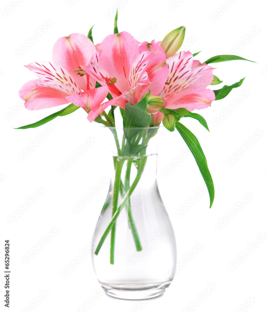 Alstroemeria flowers in vase isolated on white Alstroemeria flowers in vase isolated on white