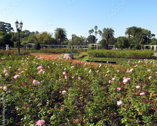 Gardens of roses. Buenos Aires, Argentina.