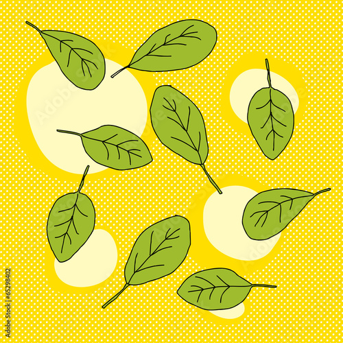 Baby Spinach Leaves