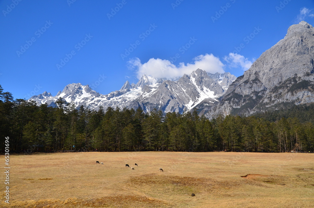 Alpine Mountain Landscape