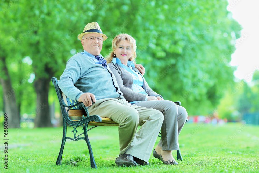 Fototapeta premium Elderly couple relaxing in park