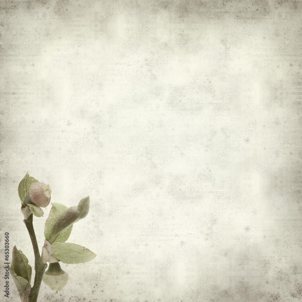 textured old paper background textured old paper background