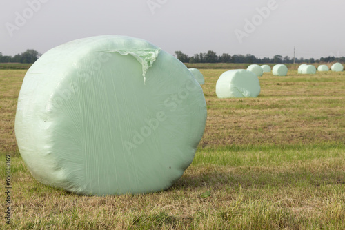 Siloballen