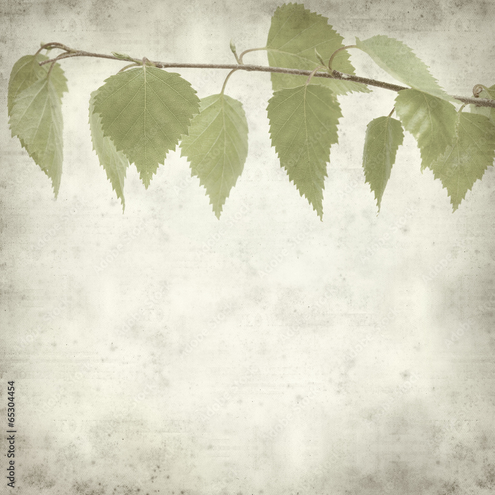 Fototapeta premium textured old paper background