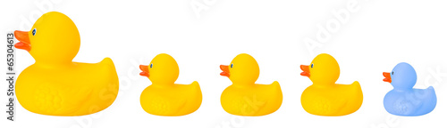 Fotografie Toy rubber duck family isolated on white