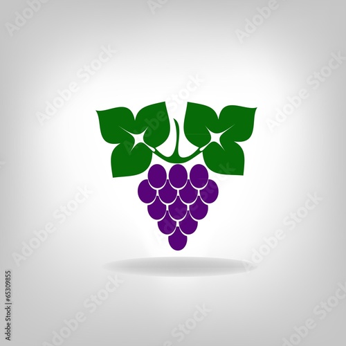 silhouette of grapes. Vector illustration.