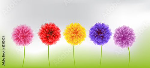 Fototapeta Naklejka Na Ścianę i Meble -  in nature, colorful spring flowers