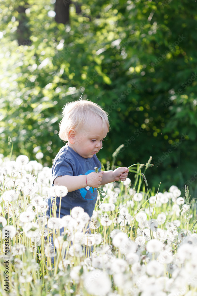 little baby boy sitting on a green meadow little baby boy sitting on a green meadow