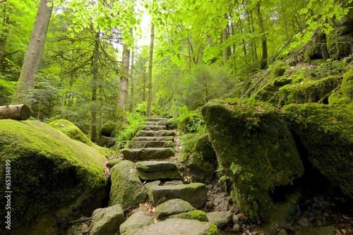 Black Forest Stone Staircase