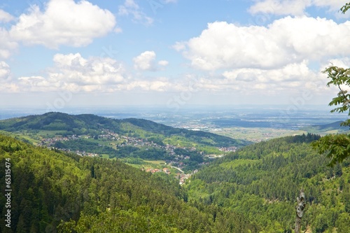 Black Forest Panorama