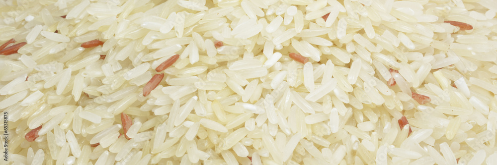 rice grain (jasmine rice) rice grain (jasmine rice)