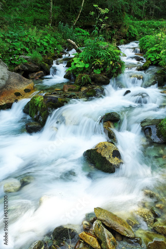 Ecoulement lent et mélodieux d'une rivière en sous bois