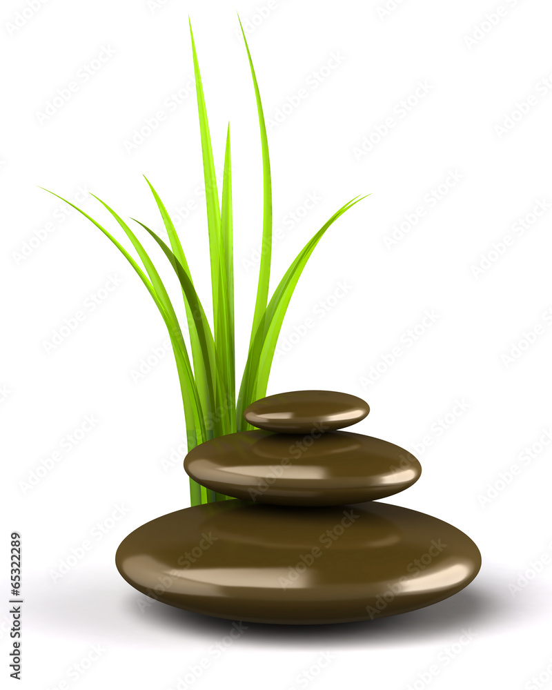 Grass and stones Grass and stones