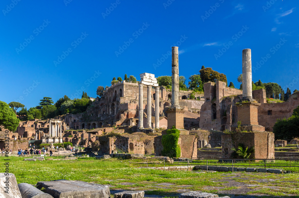 Rome: Ruins of the Forum, Italy