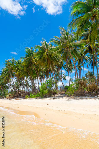 Untouched tropical beach
