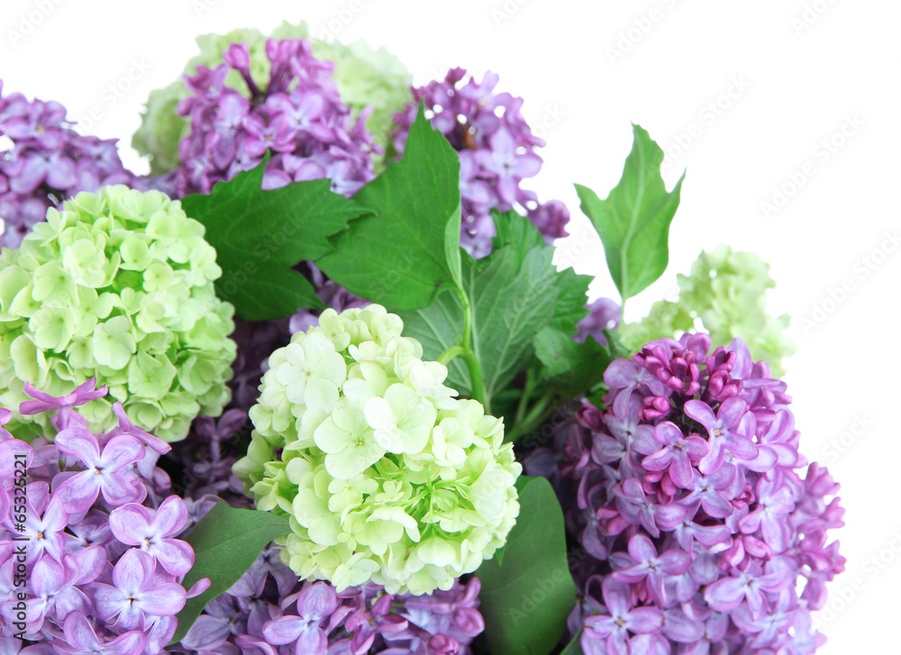 Beautiful spring flowers in vase isolated on white Beautiful spring flowers in vase isolated on white