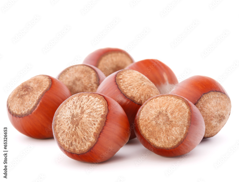 hazelnut or filbert nut isolated on white background cutout hazelnut or filbert nut isolated on white background cutout