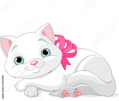 Cute white cat