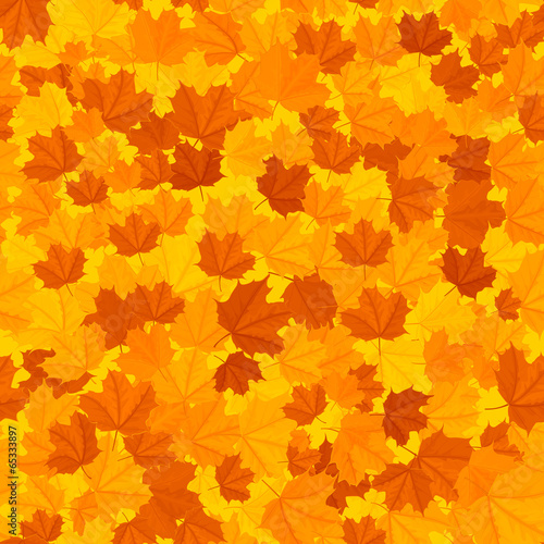 seamless texture of autumn leaves