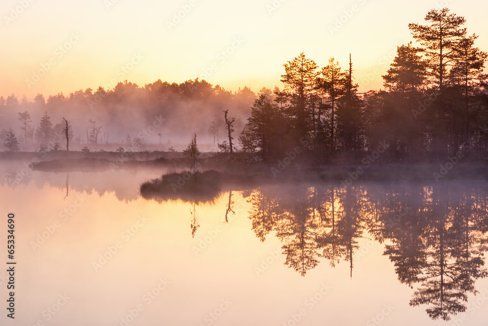 Sunrise at the lake Sunrise at the lake