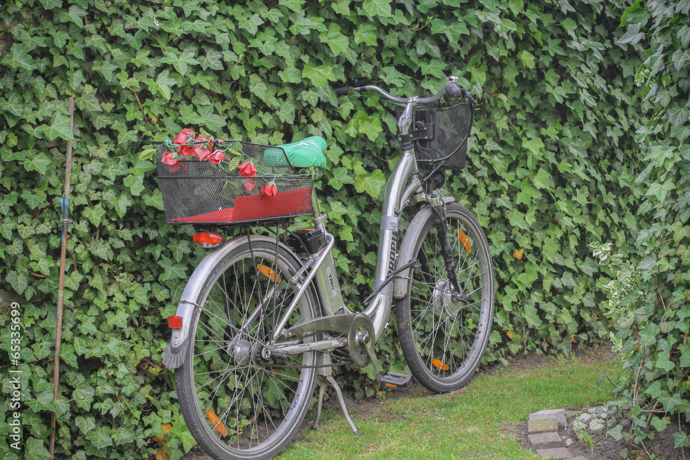 Bicycle with flower basket