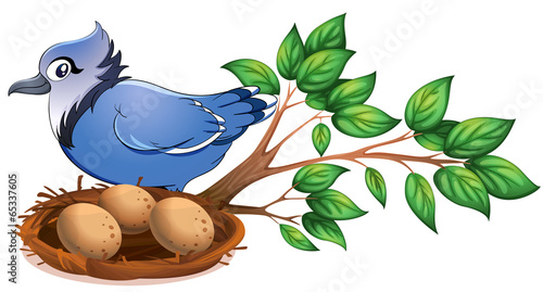 A blue bird at the branch of a tree with a nest