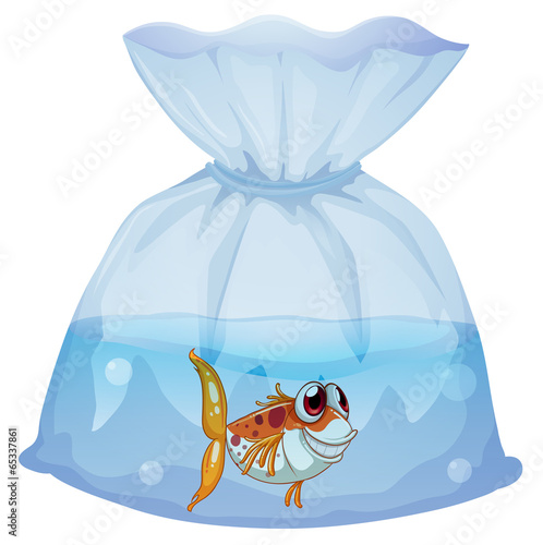 A fish inside the plastic