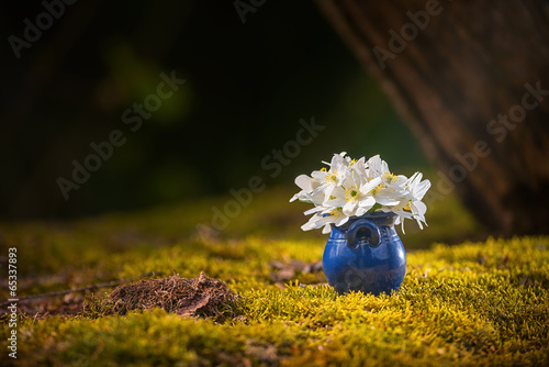 Blue flowerpot with white s...
