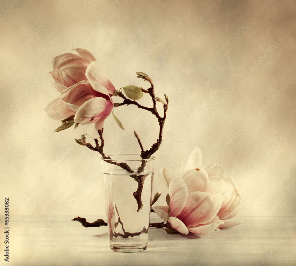 Fototapeta premium kwitnąca magnolia z efektem filtra retro