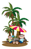 Monkeys under the coconut trees
