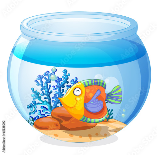 An aquarium with a fish