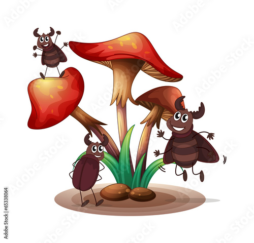 Cockroaches playing with the mushroom plant