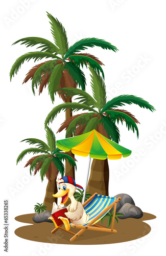 A duck reading near the palm trees