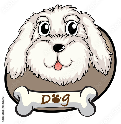 A head of a dog