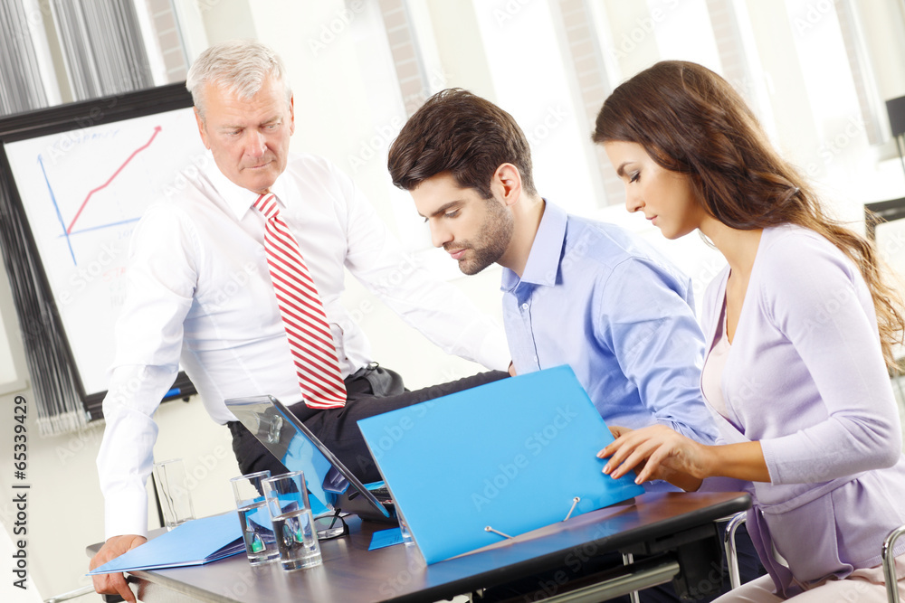 Obraz premium Business people working in group