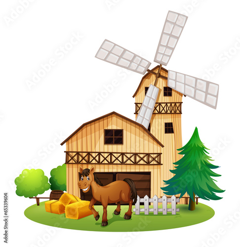 A horse outside the barnhouse at the farm