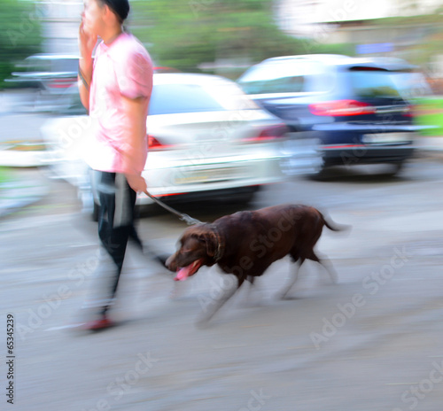 Walking the dog on the street