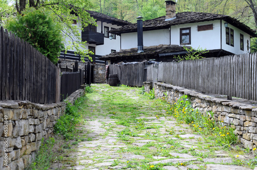 Lane in Bozhentsi Village photo